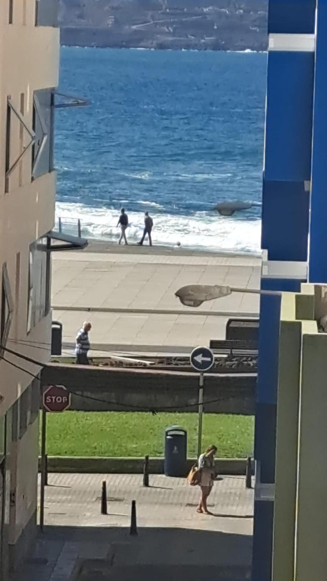 Apartament Bkd1 - Entero A 50 Metros Playa De Canteras Las Palmas de Gran Canaria